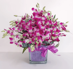 20 purple orchids