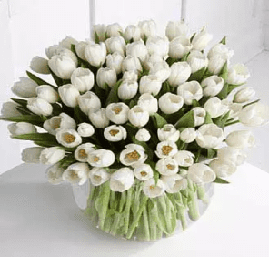 white tulips delivery Dubai